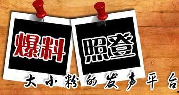 新闻爆料配乐,激昂旋律见证时代脉搏